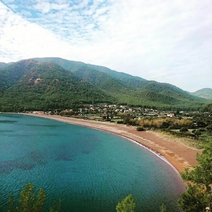 Apart Otel Olive Tree Apart Hotel Muğla