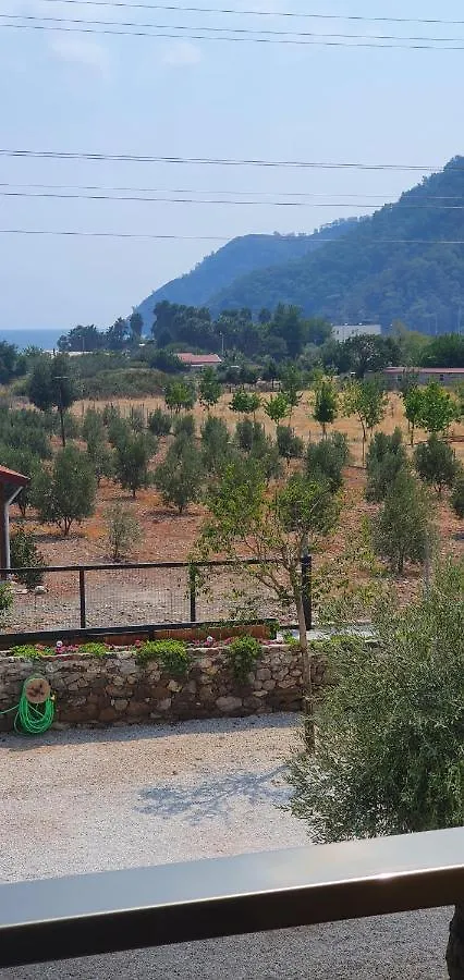 Apart Otel Olive Tree Apart Hotel Muğla